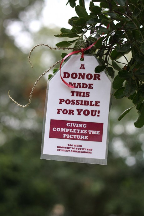 1 Donor Cards Around Campus-SC