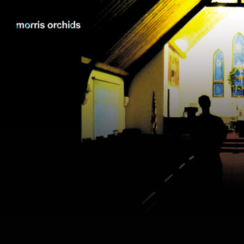 morrisorchids