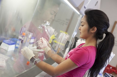 Junior Helene Nepomuceno is a research student in Jonathan King's lab, whose work involves understanding the physiology of epithelial cell junctions. Photo by Anh-Viet Dinh.